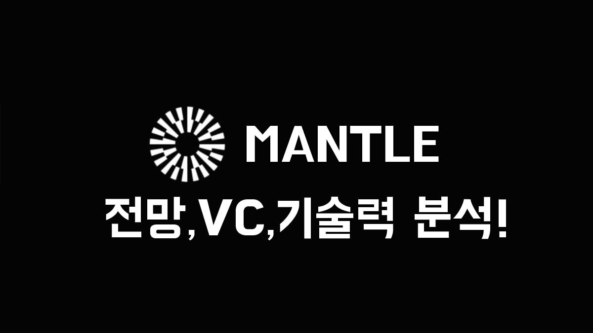 Mantle 로고와 텍스트 "전망, VC, 기술력 분석!"이 검정 배경 위에 흰색으로 표시된 썸네일 이미지